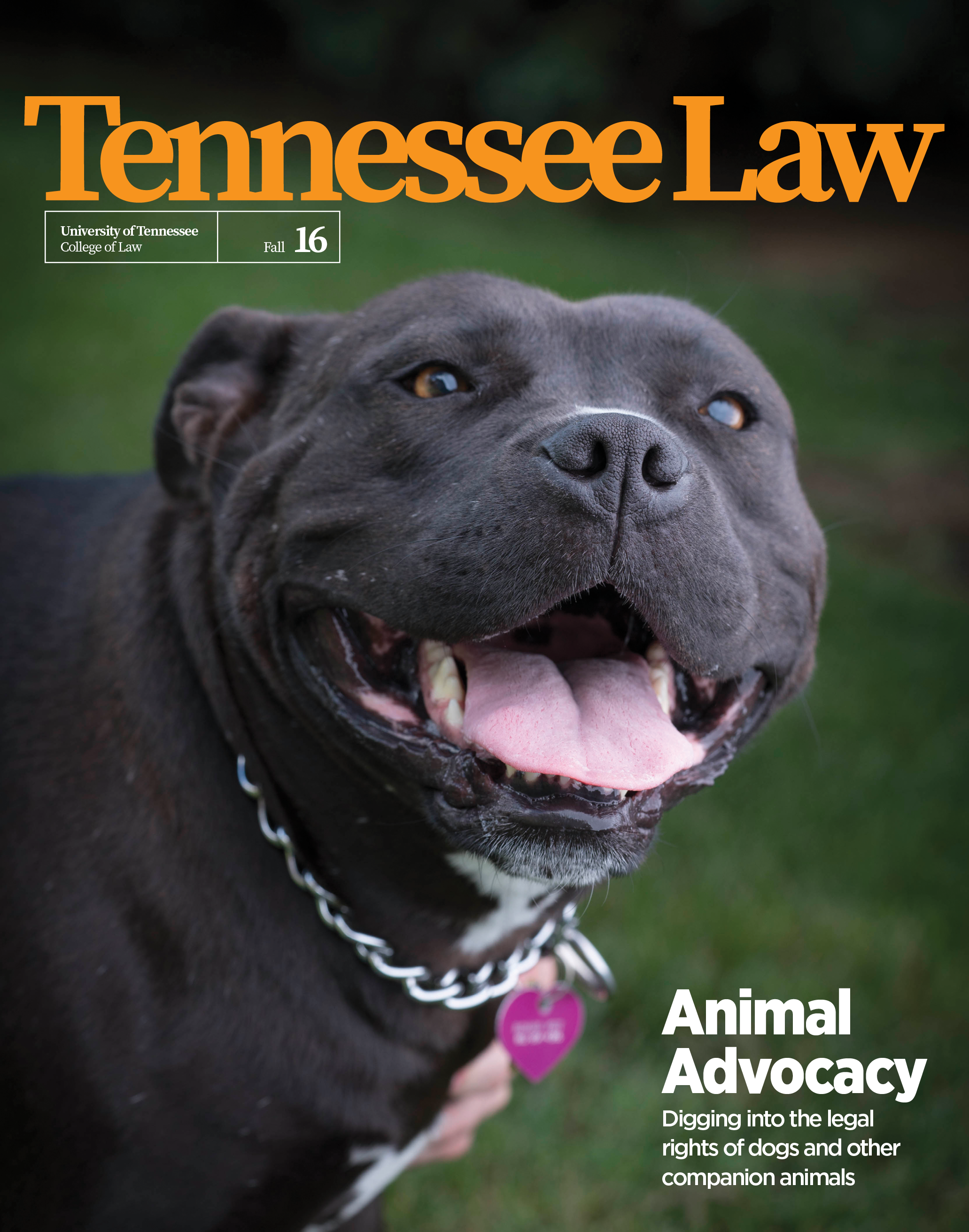 Tennessee Law, Fall 2016