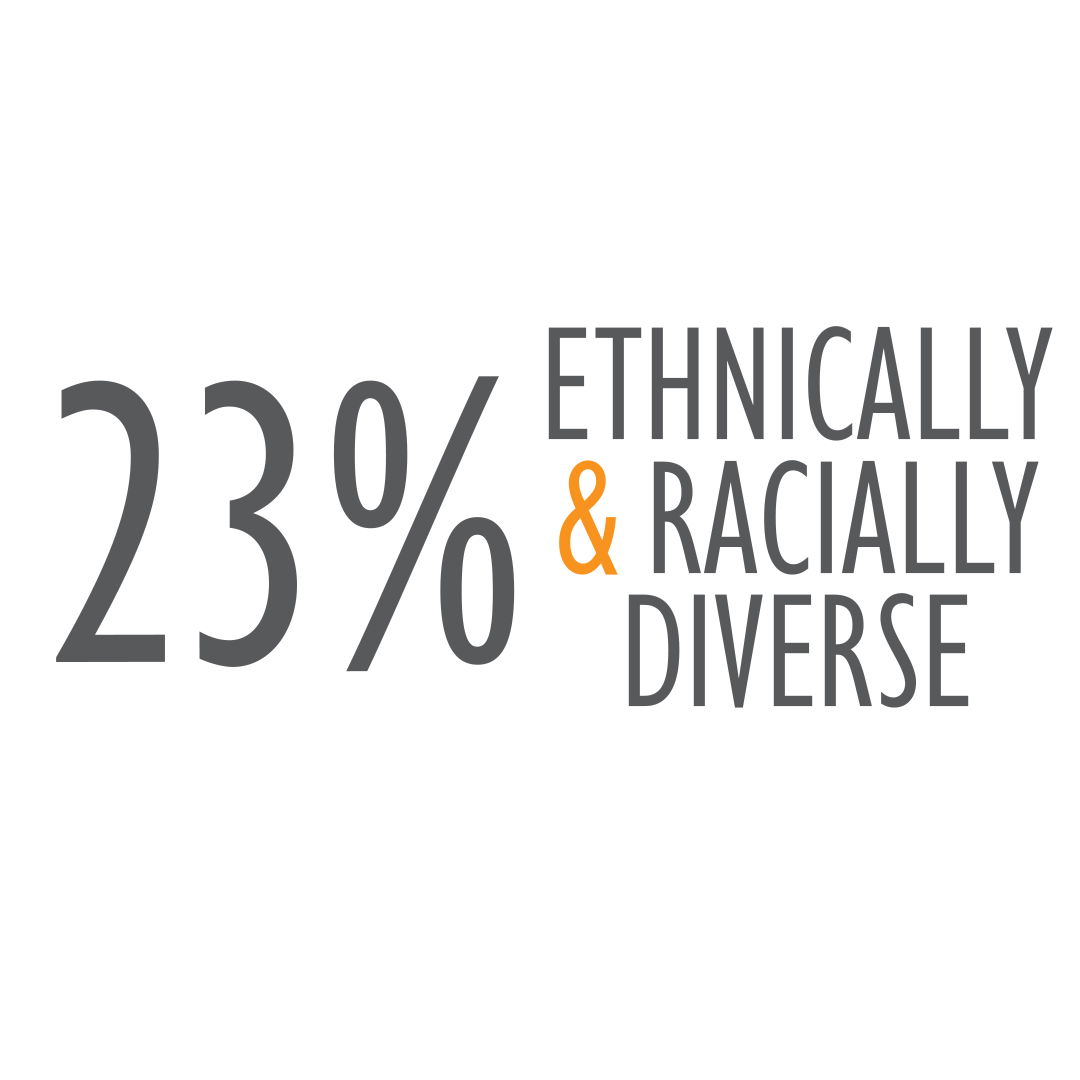 Ethnically & Racially Diverse Stat